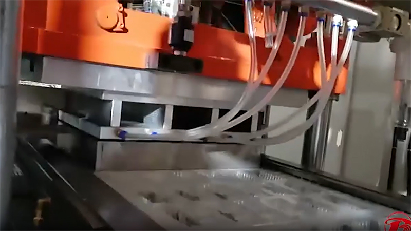 Positive and Negative Pressure Plastic Thermoforming Machine