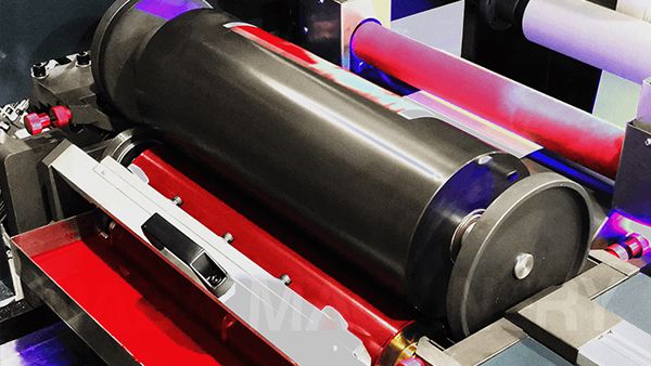 Flexo Printing Unit (Panasonic Servo Motor Driven)