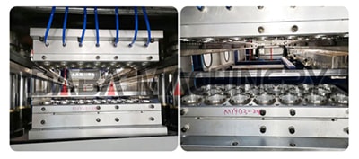 Plastic Cup Thermoforming Machine